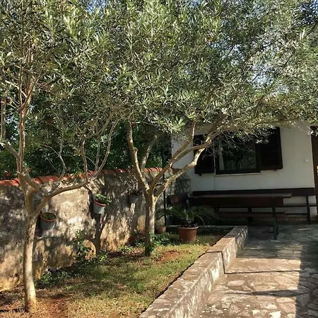 Apartamento Niki Under The Olive Trees